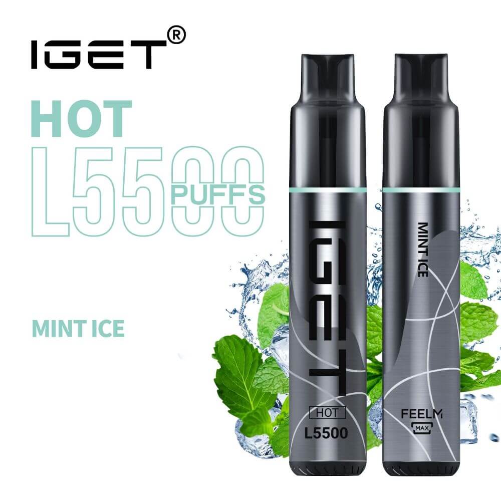 iGET Hot Vape 5500 Puff Mint Ice