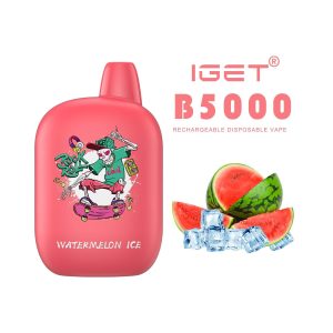 iGET b5000 - Watermelon Ice - Disposable Vape - Australia